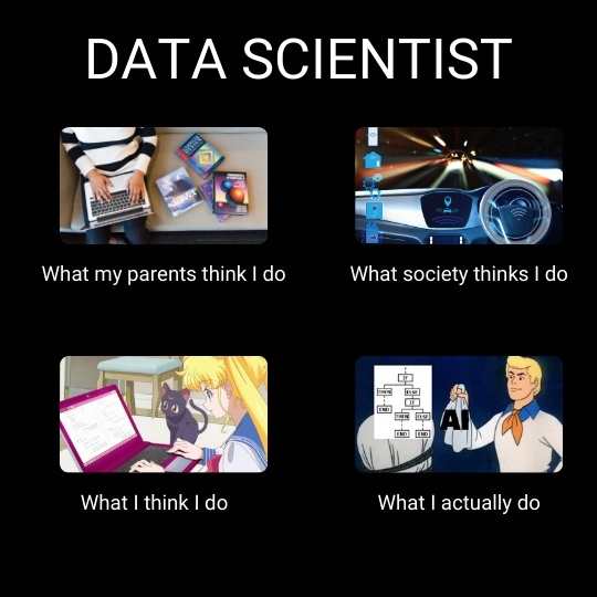 Data Scientist meme