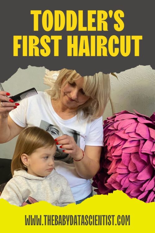 toddler s first haircut